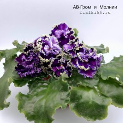 АВ-Гром и Молнии 